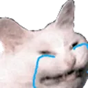 emoji_51