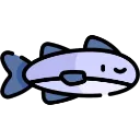 tuna