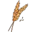 wheat