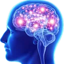 BigBrain