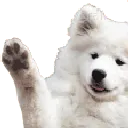 DoggoWave