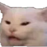 CatEw