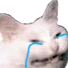 CattoCry
