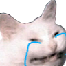 CattoCry custom emote from DM Request 📪