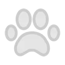 0000