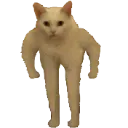 CatStand