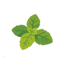 herbs