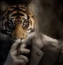977538smoketiger