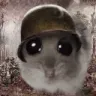 68986soldierhamster