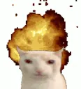 539926catexplode
