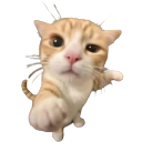 :956658youuukitten:
