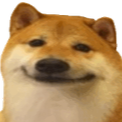 Doge_1 Discord emoji
