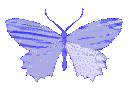 Arctic animated GIF emoji - Hangouts | Social • Chill • Anime • Memes • Emojis