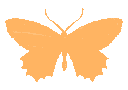 Four orange pixel art butterflies in different wing positions arranged in a horizontal row.