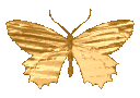 amber Discord emoji