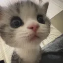 4_