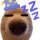 :dogsleep: