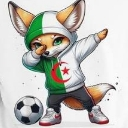 A fennec fox wearing an Algerian flag hoodie dabs next to a soccer ball.
