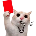 redcard