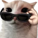 glasses