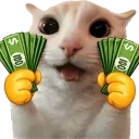 moneyhands
