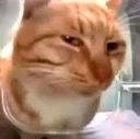 sus
