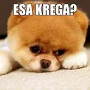 EsaKarega