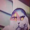 folkden Discord emoji