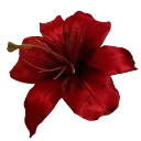 RedFlower