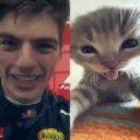 h_maxkitty