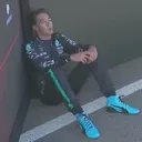 h_georgesit