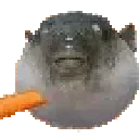 dukefish