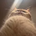 emoji_28