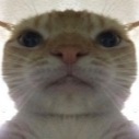 :CLS_Pussy: