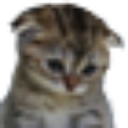sad Discord emoji