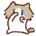scubacat