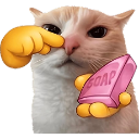 catsoap Discord emoji
