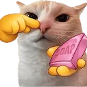 233828stinky