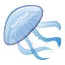 :Jellyfish_:
