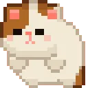 CatRoll