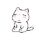 CatSleepy
