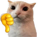 CattoThumbsdown