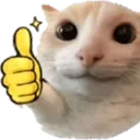 CattoThumbsup