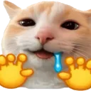 CattoGive