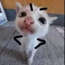 hmph