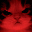 93718catangry custom emote from —𝑆𝑃𝐸𝑁𝑇