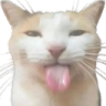 Acat_ragebait Discord sticker - eCafe 🌸 |  Indian Discord Server・Hangout・Guild Tag ・ Chilling・Voice Chat・Gaming ・India