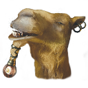 A camel looking sideways with a goofy, unbothered expression.