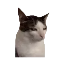 emoji_76