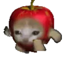 Capple